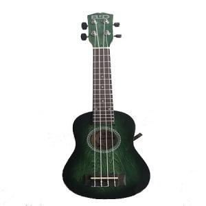 Bud guitar
