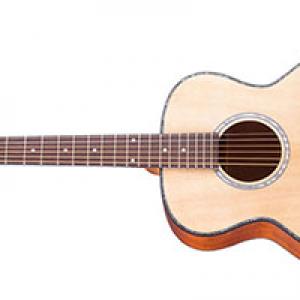 Bud Guitar
